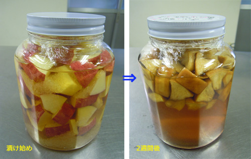 簡単 手作りのりんご酢 りんご大学