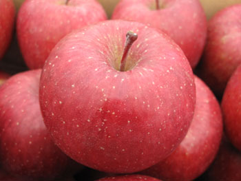 りんごのカロリーと栄養 りんご大学