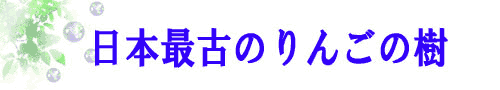 090723saikounoki.logo.gif