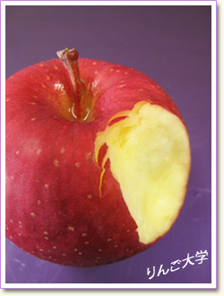 ブログ『りんご丸かじりと歯の健康』