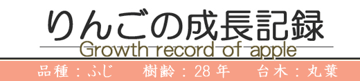seichourkiroku-logo.gif