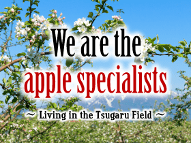 “We are the apple specialists”