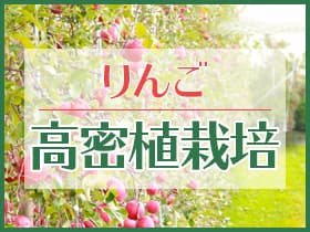 りんご高密植栽培　バナー画像