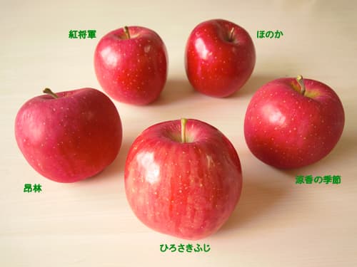 早生系ふじ 画像
