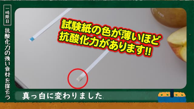【１時限目】抗酸化力の強い食材を探そう　公開日：2021/8/20 画像