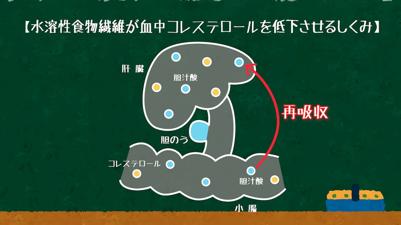 【２時限目】りんごの水溶性食物繊維の働き　実験画像2