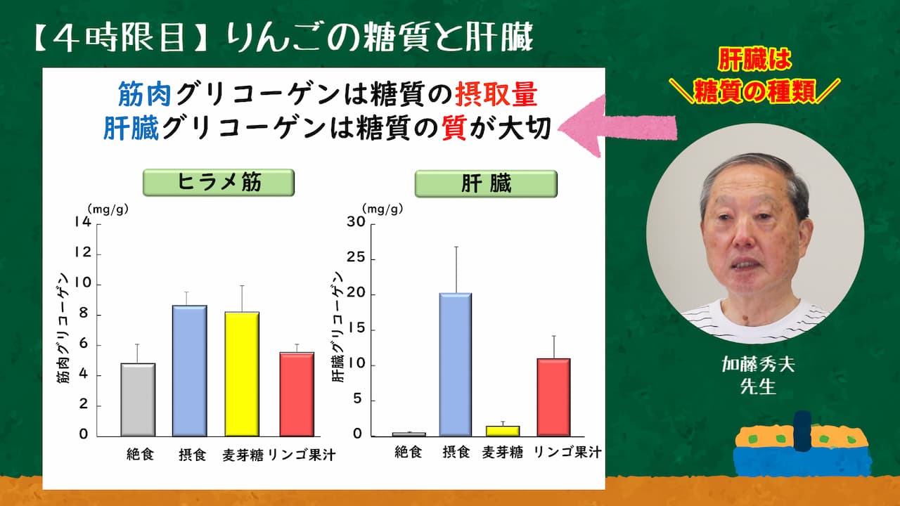 【４時限目】りんごの糖質と肝臓　説明画像1
