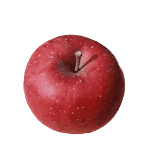 林檎健美りんごぽよぽよ画像