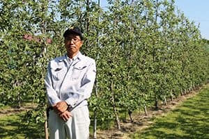 ブログ 高密植栽培 画像