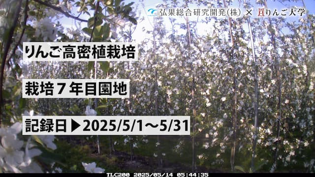 タイムラプス　栽培 7年目①　記録日：2025/5/1～5/31 画像