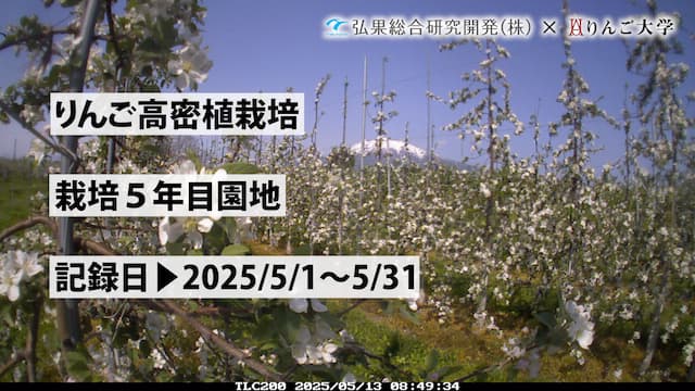 タイムラプス　栽培 5年目①　記録日：2025/5/1～5/31 画像