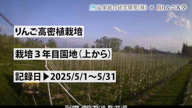 タイムラプス　栽培 3年目（上から）①　記録日：2025/5/1～5/31 画像