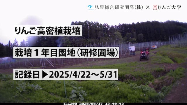 タイムラプス　栽培 1年目（研修圃場）①　記録日：2025/4/22～5/31 画像