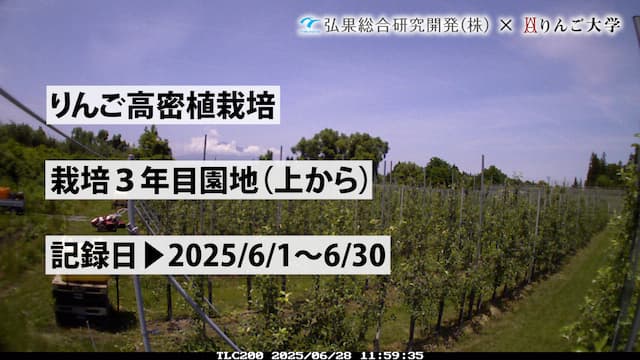 タイムラプス　栽培 3年目（上から）②　記録日：2025/6/1～6/30 画像