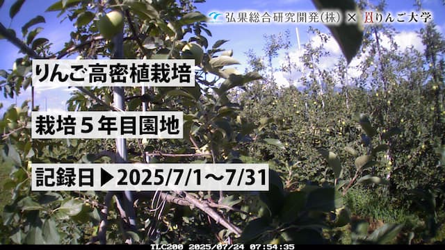タイムラプス　栽培 5年目③　記録日：2025/7/1～7/31 画像