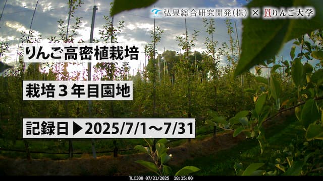 タイムラプス　栽培 3年目③　記録日：2025/7/1～7/31 画像