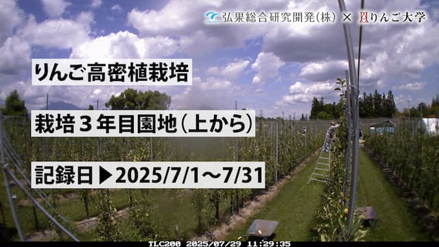 タイムラプス　栽培 3年目（上から）③　記録日：2025/7/1～7/31 画像
