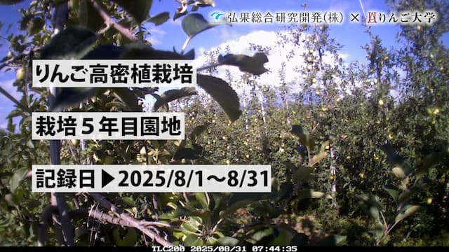 タイムラプス　栽培 5年目④　記録日：2025/8/1～8/31 画像