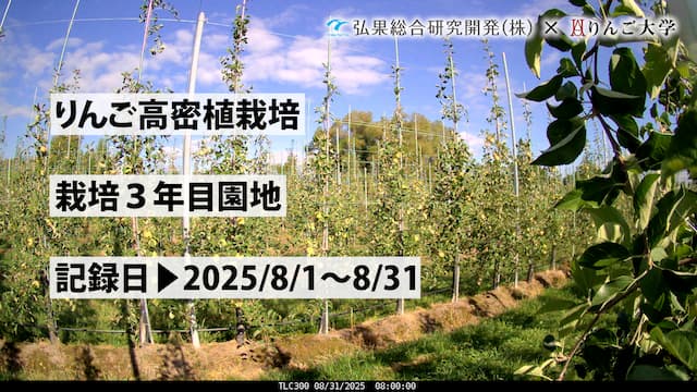 タイムラプス　栽培 3年目④　記録日：2025/8/1～8/31 画像