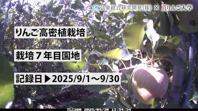タイムラプス　栽培 7年目⑤　記録日：2025/9/1～9/30 画像