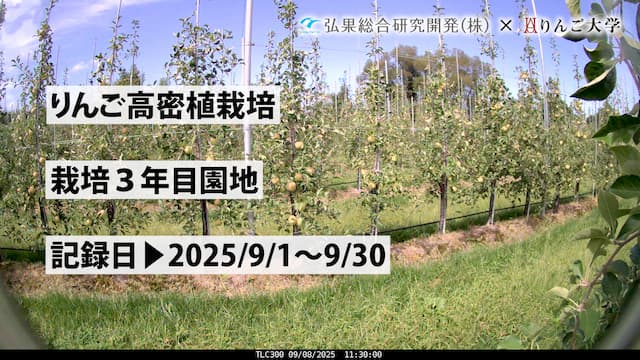 タイムラプス　栽培 3年目⑤　記録日：2025/9/1～9/30 画像
