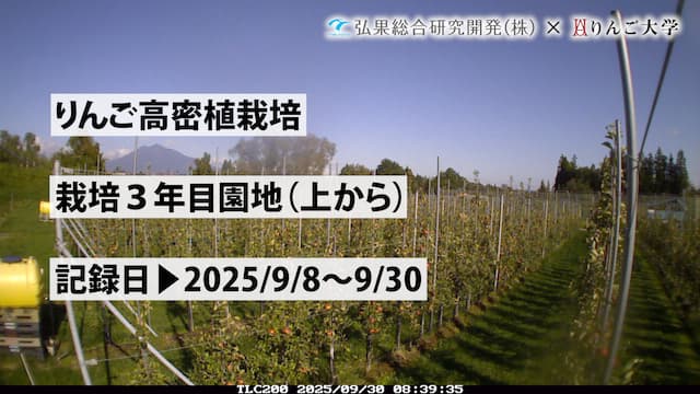 タイムラプス　栽培 3年目（上から）⑤　記録日：2025/9/8～9/30 画像