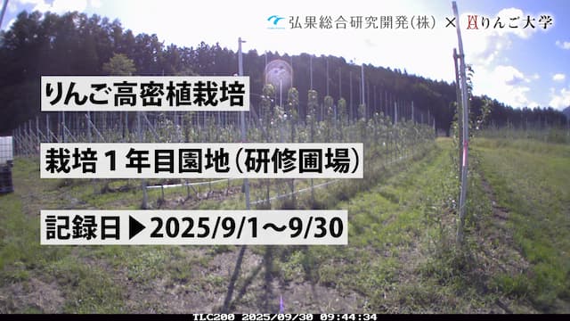 タイムラプス　栽培 1年目（研修圃場）⑤　記録日：2025/9/1～9/30 画像