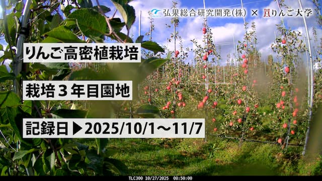 タイムラプス　栽培 3年目⑥　記録日：2025/10/1～11/7 画像