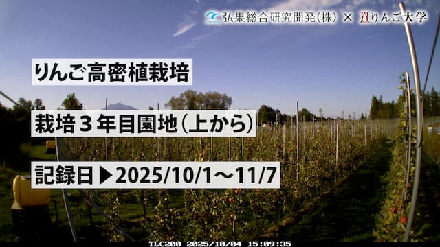 タイムラプス　栽培 3年目（上から）⑥　記録日：2025/10/1～11/7 画像