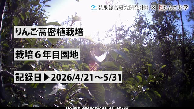 タイムラプス　栽培 6年目【5月】　記録日：2026/4/21～5/31 画像