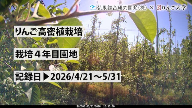 タイムラプス　栽培 4年目【5月】　記録日：2026/4/21～5/31 画像