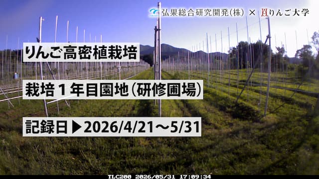 タイムラプス　栽培 1年目(研修圃場)【5月】　記録日：2026/4/21～5/31 画像