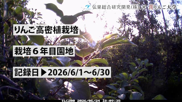 タイムラプス　栽培 6年目【5月】　記録日：2026/4/21～5/31 画像