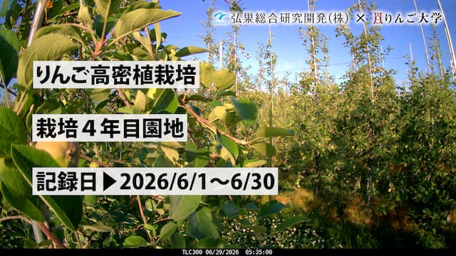 タイムラプス　栽培 4年目【5月】　記録日：2026/4/21～5/31 画像