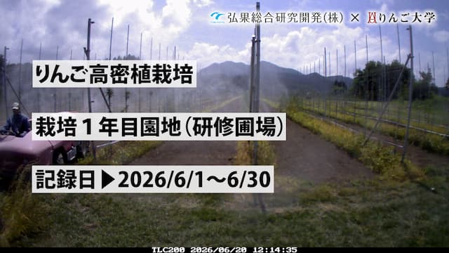 タイムラプス　栽培 1年目(研修圃場)【5月】　記録日：2026/4/21～5/31 画像