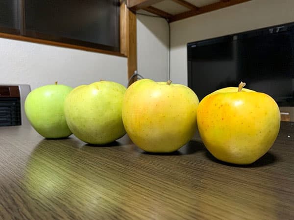 vol.14『りんご「トキ」を食べてみました』 画像