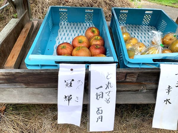 vol.18『りんご「冠輝」を食べてみました』 画像