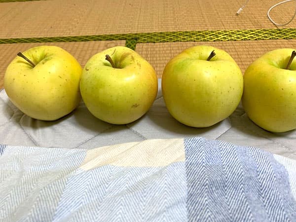 vol.22『眠れない夜には枕元にりんごを？』 画像