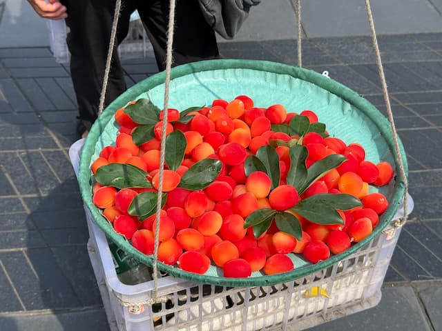 人間が食べてはいけない色に思えるのですが、みなさんはどう思いますか 画像