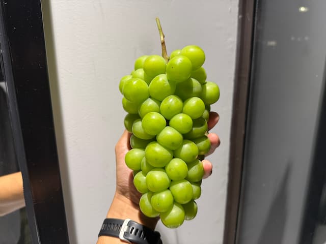 見た目と食べ応えは◎、品質と満足感は× 画像