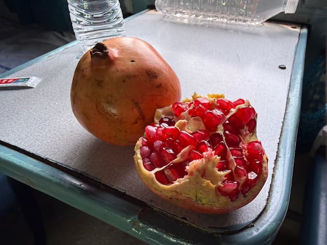 ザクロ 画像