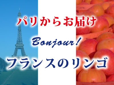 フランスのリンゴ バナー