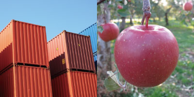 日本のりんご輸出入量
