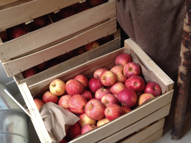 「サーカス・ベーカリー」の店内に積み上がった、入荷したてのりんご。