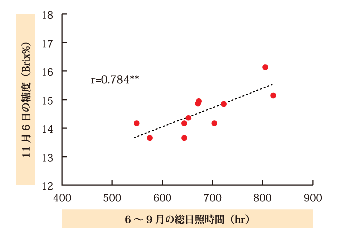 （図1）「ふじ」無袋果の糖度と日照時間（りんご研究所）
