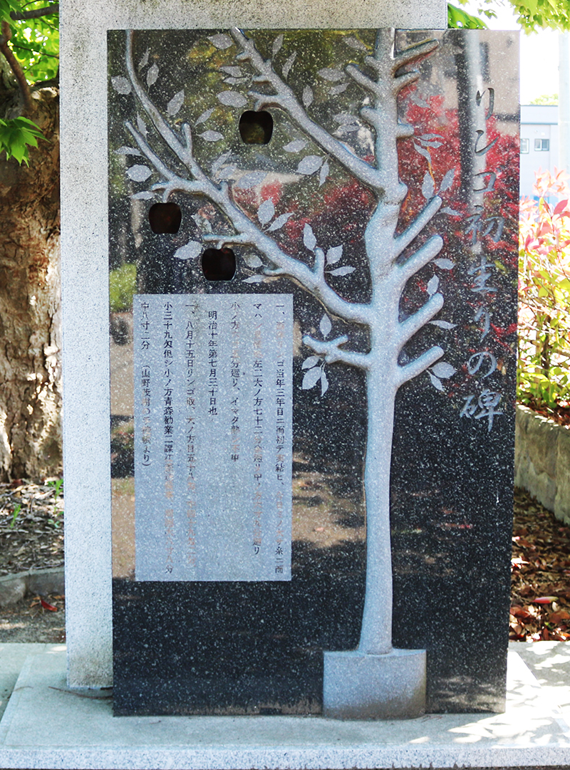 弘前大学医学部構内にある「りんご初生りの碑」