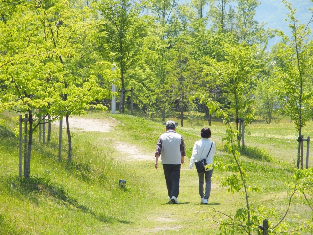 イメージ画像