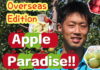 [Apple Paradise!! Overseas Edition] A 13-Day Fruit Journey in South Korea: Local Markets and Apple Industry Challenges