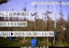 11月の園地の様子【定点カメラ】【りんご高密植栽培試験園地】