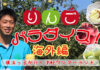 『韓国フルーツ紀行（vol.169）』～りんごパラダイス～